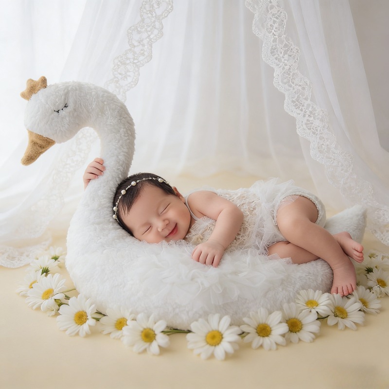 Baby Nursery Set - Newborn Photography Prop Swan Lace Outfit