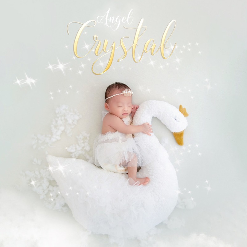 Newborn Photography Prop Swan  - огляд і ціна Baby Nursery Set